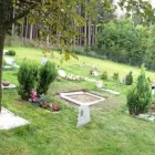 Unternehmen 1 Bild ANTARES TIERBESTATTUNGEN GMBH Ämter/Behörden/Gerichte am Wien 9