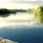 Unternehmen 3 Bild ANTARES TIERBESTATTUNGEN GMBH Ämter/Behörden/Gerichte am Wien 9