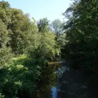 Unternehmen 8 Bild AUWERK CAMPING Sportanlagen, Freizeitanlagen am Gölsen 3