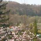 Unternehmen 23 Bild AUWERK CAMPING Sportanlagen, Freizeitanlagen am Gölsen 3