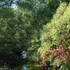 Unternehmen 24 Bild AUWERK CAMPING Sportanlagen, Freizeitanlagen am Gölsen 3