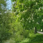Unternehmen 26 Bild AUWERK CAMPING Sportanlagen, Freizeitanlagen am Gölsen 3