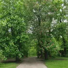 Unternehmen 29 Bild AUWERK CAMPING Sportanlagen, Freizeitanlagen am Gölsen 3