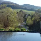 Unternehmen 31 Bild AUWERK CAMPING Sportanlagen, Freizeitanlagen am Gölsen 3
