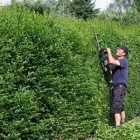 Unternehmen 4 Bild B - OBJEKTREINIGUNG GMBH Entsorgung, Verwertung, Beseitigung, Reinigung am Wien 9
