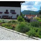 Unternehmen 4 Bild BAUMSCHULE CADA - MAGDALENA CADA Land-/Forstwirtschaft/Fischerei am Enzenreith 3