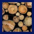 Unternehmen 2 Bild BINDER - BAUEN MIT HOLZ Tischlerarbeiten am Zell Am Ziller 7