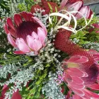 Unternehmen 16 Bild BLUMEN 2000 Garten/Pflanzen am Wien 9