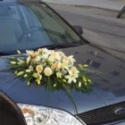 Unternehmen 6 Bild BLUMEN ANDRE STADLER Land-/Forstwirtschaft/Fischerei am Wien 9