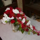 Unternehmen 9 Bild BLUMEN ANDRE STADLER Land-/Forstwirtschaft/Fischerei am Wien 9