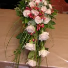 Unternehmen 1 Bild BLUMEN ANDRE STADLER Land-/Forstwirtschaft/Fischerei am Wien 9