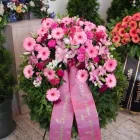 Unternehmen 12 Bild BLUMEN ANDRE STADLER Land-/Forstwirtschaft/Fischerei am Wien 9
