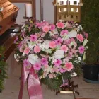 Unternehmen 13 Bild BLUMEN ANDRE STADLER Land-/Forstwirtschaft/Fischerei am Wien 9