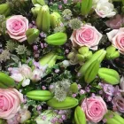 Unternehmen 14 Bild BLUMEN ANDRE STADLER Land-/Forstwirtschaft/Fischerei am Wien 9
