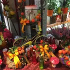 Unternehmen 17 Bild BLUMEN ANDRE STADLER Land-/Forstwirtschaft/Fischerei am Wien 9