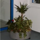 Unternehmen 18 Bild BLUMEN ANDRE STADLER Land-/Forstwirtschaft/Fischerei am Wien 9