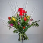 Unternehmen 3 Bild BLUMEN CLAUDIA Garten/Pflanzen am Wien 9