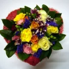 Unternehmen 1 Bild BLUMEN CLAUDIA Garten/Pflanzen am Wien 9