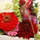 Unternehmen 2 Bild BLUMEN STIEBER Land-/Forstwirtschaft/Fischerei am Wien 9