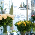 Unternehmen 3 Bild BLUMENSTUDIO BAUER Garten/Pflanzen am Linz 4