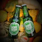 Unternehmen 1 Bild BORS SPRITZER Weinstuben am Pamhagen 1