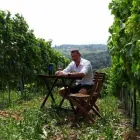 Unternehmen 3 Bild BUSCHENSCHANK WEINGUT LUTTENBERGER RUPERT Weinstuben am Murfeld 6