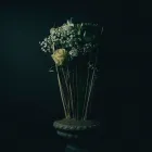 Unternehmen 4 Bild DB - DIE BLUMENBINDEREI Garten/Pflanzen am Graz 6