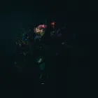 Unternehmen 9 Bild DB - DIE BLUMENBINDEREI Garten/Pflanzen am Graz 6