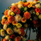 Unternehmen 10 Bild DB - DIE BLUMENBINDEREI Garten/Pflanzen am Graz 6