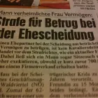 Unternehmen 12 Bild DETEKTEI HELIOS E.U. Ämter/Behörden/Gerichte am Wien 9