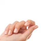 Unternehmen 1 Bild DIE FRISUR - MARTINA MACHAC Kosmetik/Körperpflege am Wien 9