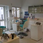 Unternehmen 13 Bild DR. ISABELLA SZALAY-FASCHING - KIEFERORTHOPÄDIE Ärzte am Klagenfurt Am Wörthersee 2