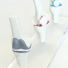 Unternehmen 2 Bild DR. MARK SCHURZ Medizin/Gesundheitswesen am Vienna 9