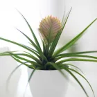 Unternehmen 18 Bild EDELWEISS DIGITAL GMBH Werbewirtschaft/Verkaufsförderung am Innsbruck 7