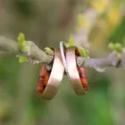 Unternehmen 6 Bild FEINHEIT GOLDSCHMIEDE Schmuck/Uhren/Edelmetallwaren am Weinitzen 6