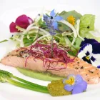 Unternehmen 4 Bild FREDERIK'S CATERING Hotel-/Gastronomiegewerbe am Wien 9