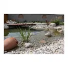 Unternehmen 2 Bild GARTENGESTALTUNG UNGER - MICHAEL UNGER GMBH Land-/Forstwirtschaft/Fischerei am Wallern Im Burgenland 1