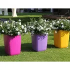 Unternehmen 1 Bild GARTENGLÜCK GARTENGESTALTUNGSGESMBH Land-/Forstwirtschaft/Fischerei am Linz 4