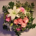 Unternehmen 2 Bild GÄRTNEREI EHRENBERGER Land-/Forstwirtschaft/Fischerei am Wien 9