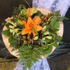 Unternehmen 1 Bild GÄRTNEREI EHRENBERGER Land-/Forstwirtschaft/Fischerei am Wien 9