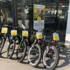 Unternehmen 7 Bild GREENSTORM MOBILITY GMBH Verleihunternehmen, Vermietungsunternehmen, Vermittlungsunternehmen am Kufstein 7