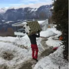 Unternehmen 4 Bild HARTMANN MARIO MÖBELTRANSPORTE ÜBERSIEDLUNG Umzugsunternehmen am Mils 7