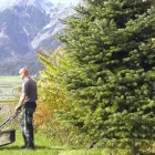 Unternehmen 2 Bild HAUS & CO ANLAGENBETREUUNG GMBH Malerbetriebe am Hall In Tirol Anführen 7