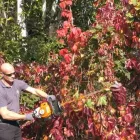 Unternehmen 3 Bild HAUS & CO ANLAGENBETREUUNG GMBH Malerbetriebe am Hall In Tirol Anführen 7
