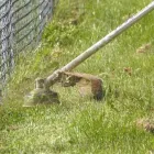 Unternehmen 5 Bild HAUS & CO ANLAGENBETREUUNG GMBH Malerbetriebe am Hall In Tirol Anführen 7