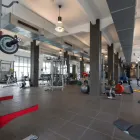 Unternehmen 4 Bild HOLMES PLACE HÜTTELDORF Sport am Wien 9