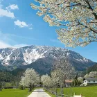 Unternehmen 2 Bild HOTEL SCHNEEBERGHOF Veranstaltungen/Messen am Puchberg Am Schneeberg 3
