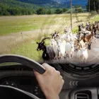 Unternehmen 5 Bild INFAR WIEN-NIEDERÖSTERREICH GMBH - HOLLABRUNN Ärzte am Hollabrunn 3