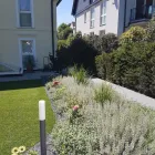 Unternehmen 10 Bild ING. GEROLD REISCHL GARTENGESTALTUNG GMBH Land-/Forstwirtschaft/Fischerei am Wien 9