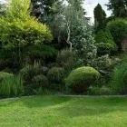 Unternehmen 3 Bild ING. GEROLD REISCHL GARTENGESTALTUNG GMBH Land-/Forstwirtschaft/Fischerei am Wien 9